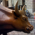 Stockerblog picture