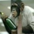 Leonard the Monkey picture