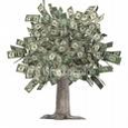 J.J. Rendina picture