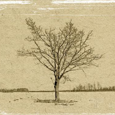 John DiStanislao picture