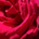 User 292274