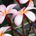 User 360245