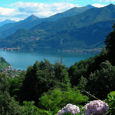 Matteo Radaelli picture