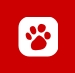 Red Cat Journal picture
