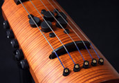Electric Cello