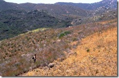 555_Viejas_Cedar_Burn_w_Jon_II_f