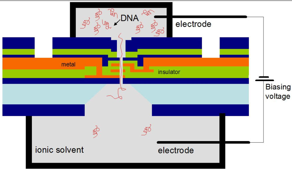 Dna Microchip