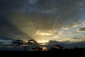 Sunset On The Serengeti