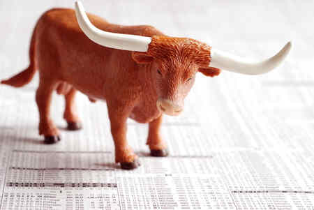 Stock Market Bull