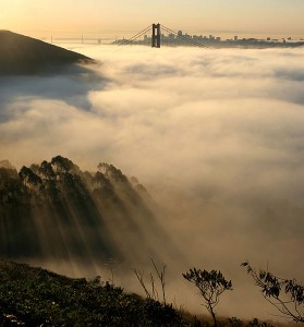 San Francisco-Based Charles Schwab Could Clear Up Expenses In The ETF Industry