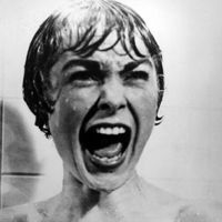 http://static.seekingalpha.com/uploads/2009/2/3/saupload_psycho.jpg