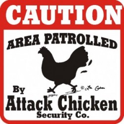 attack_chicken_attack_640-298x300
