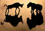 Bulls Vs Bears