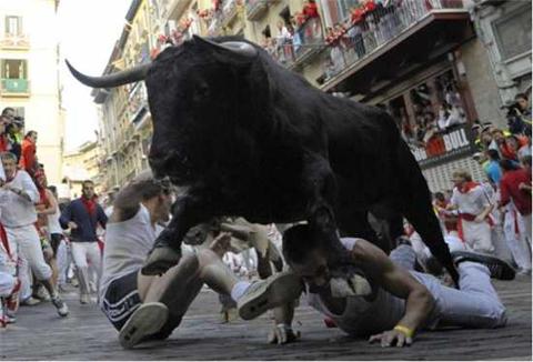The Stock Market Bull Is Back