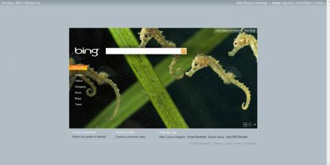 homepage