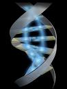 Biotechnology ETFs