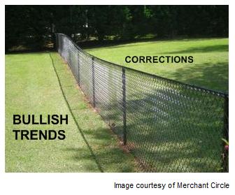 The Transition From A Bear Market To A Bull Market 2009
