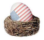 US Nest Egg