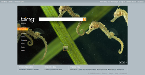Bing Homepage