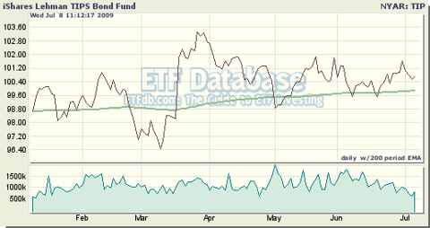 TIP Has Been a Popular Choice For Investors Concerned About Inflation