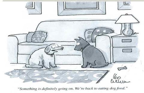 Dogs Eating Dog Food