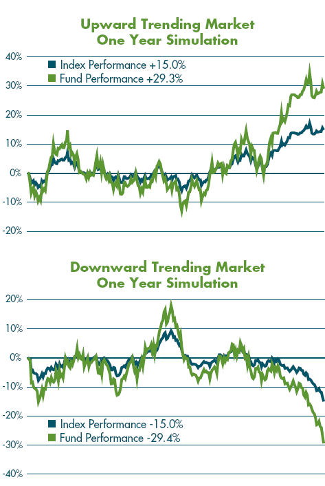 IMAGE Prospectus1 Why Do People Think That Leveraged Funds and ETFs Should Closely Track the Index Times the Multiplier Over the Long Term?