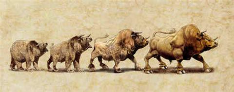Bear To Bull