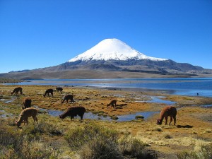 Parinacota Volcano in Chile