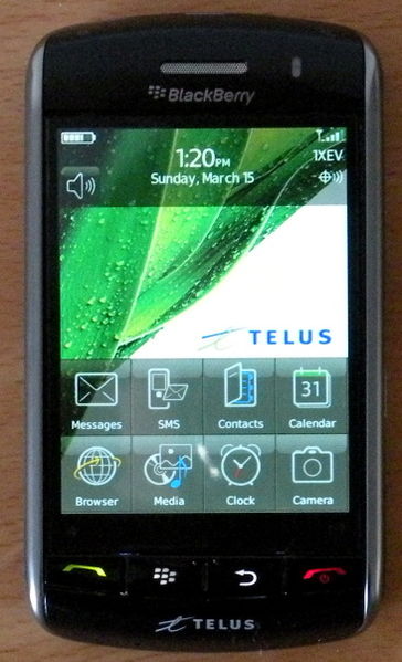 Blackberry Storm