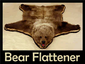 Bear Flattened