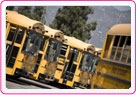 FirstGroup/First Student school busses
