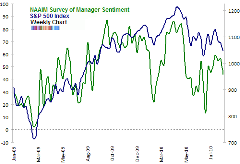 NAAIM survey of manager sentiment Aug 2010