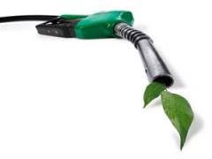 3 Stocks to Green Up Your Portfolio