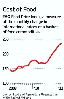 Increasing Price of Food