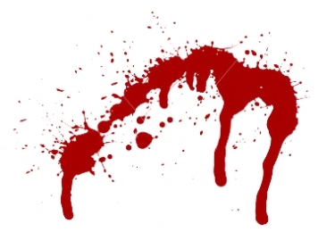 ECD’s Bloody Quarter: PV Sales Collapse, Layoffs