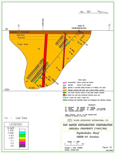 Drill Hole Section - Lunguya Reef