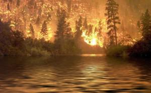 Hot ETFs for Week 9: (SLV, IEV, TUR, IYW, TUR)
