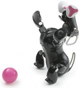 aibo