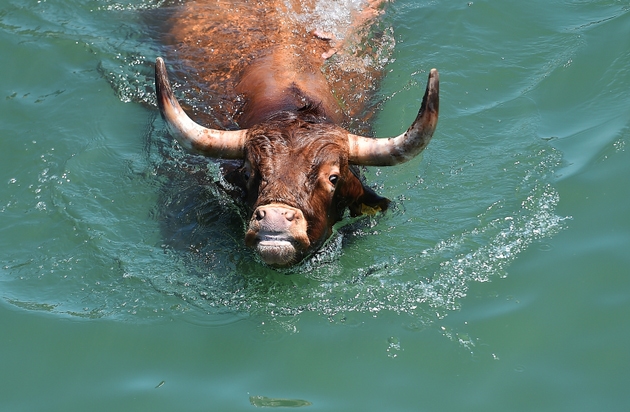 Summer Stock Plunge? I'm Convinced A Major Recession Is Coming; Let Me ...