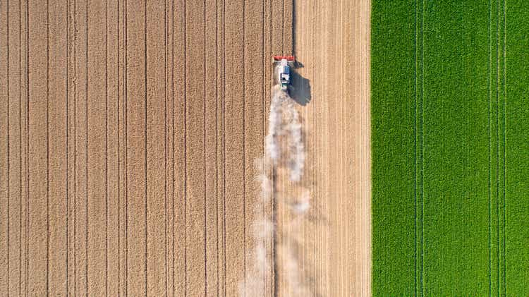 Harvesting a wheat field, dust clouds