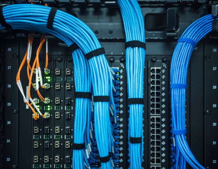 Blue cables in network server