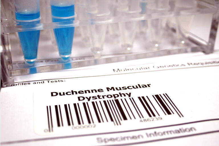 Duchenne muscular dystrophy genetic test