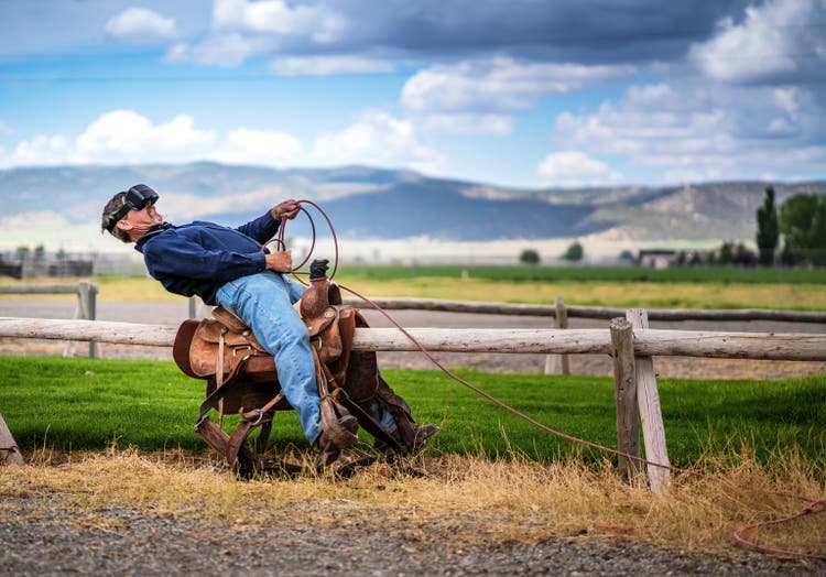 Virtual reality cowboy