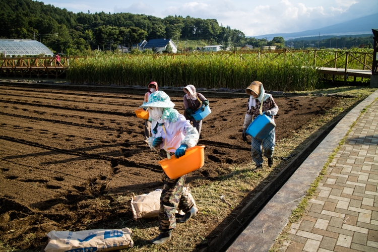 4 old ladies planting new crops together for the change of seasons