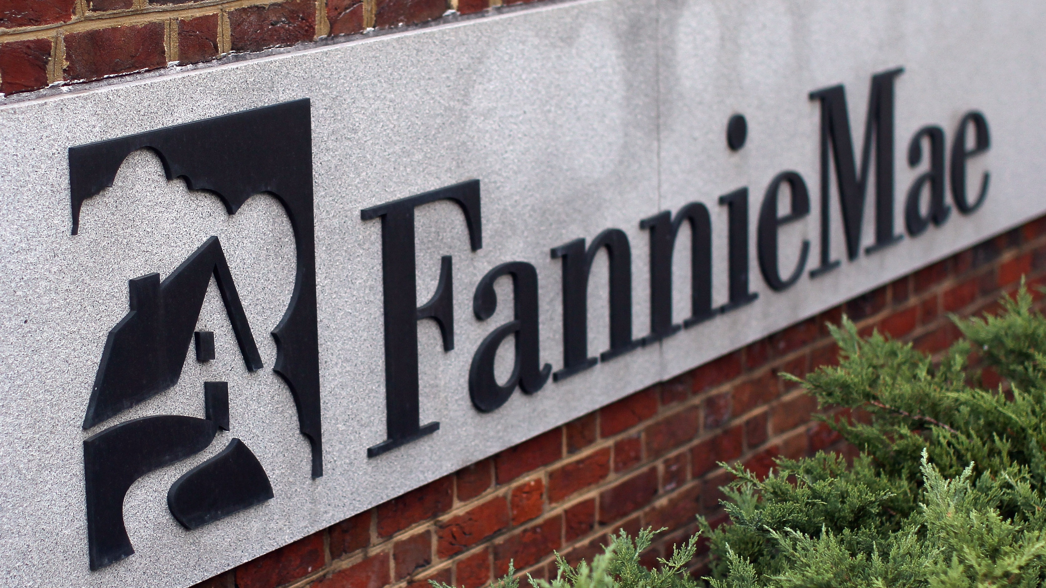 U.S. plans 5% stake sale in Fannie Mae, Freddie Mac in public offering (FNMA:OTCQB)  | Seeking Alpha