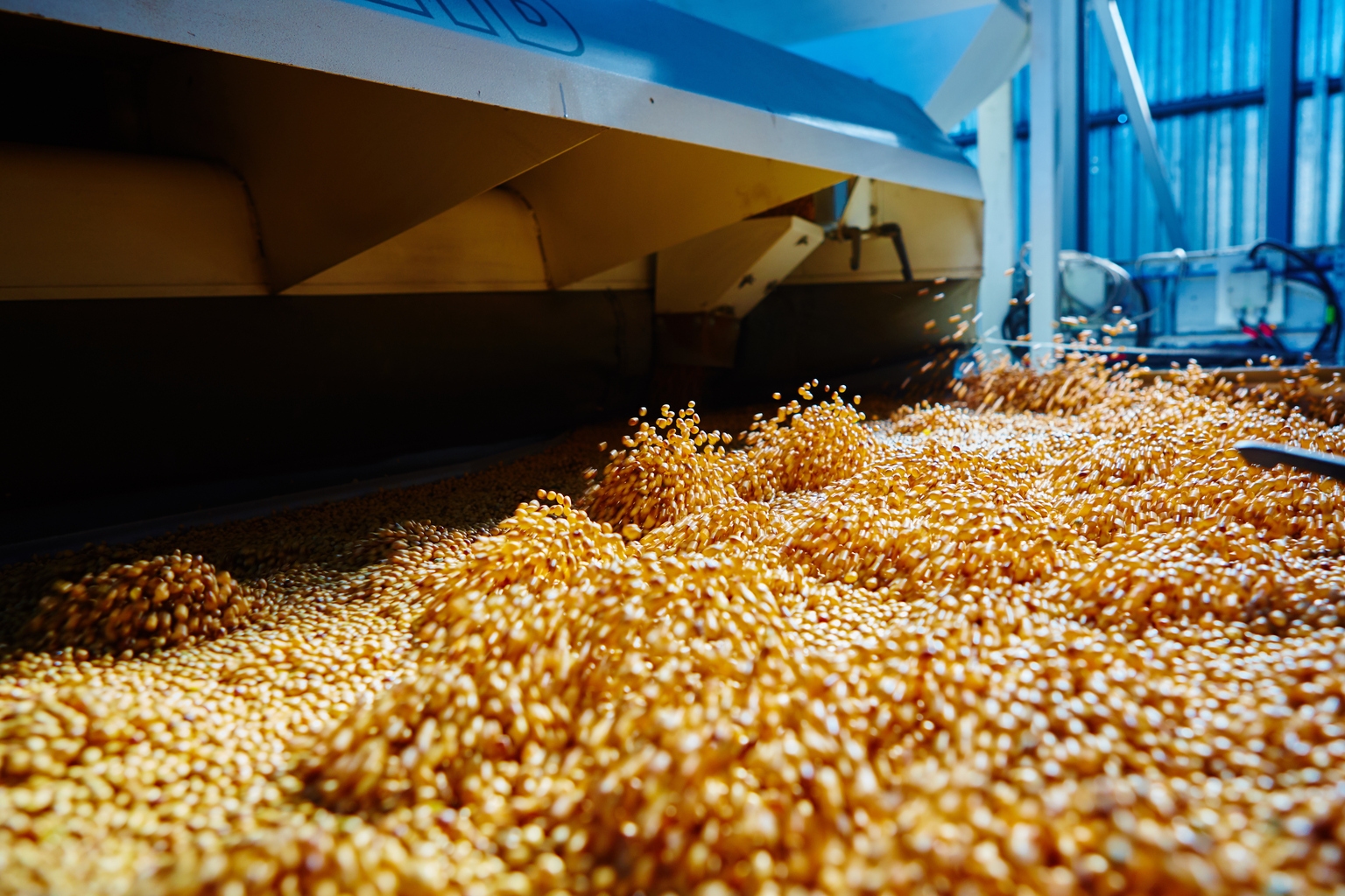 Bunge Global: A Mispricing Appears