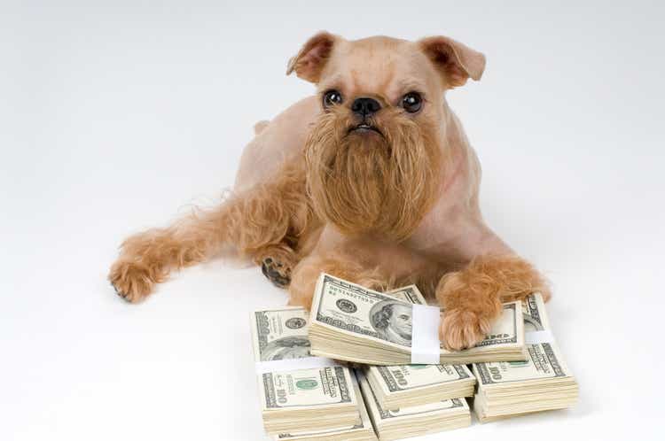 Dog and heap money