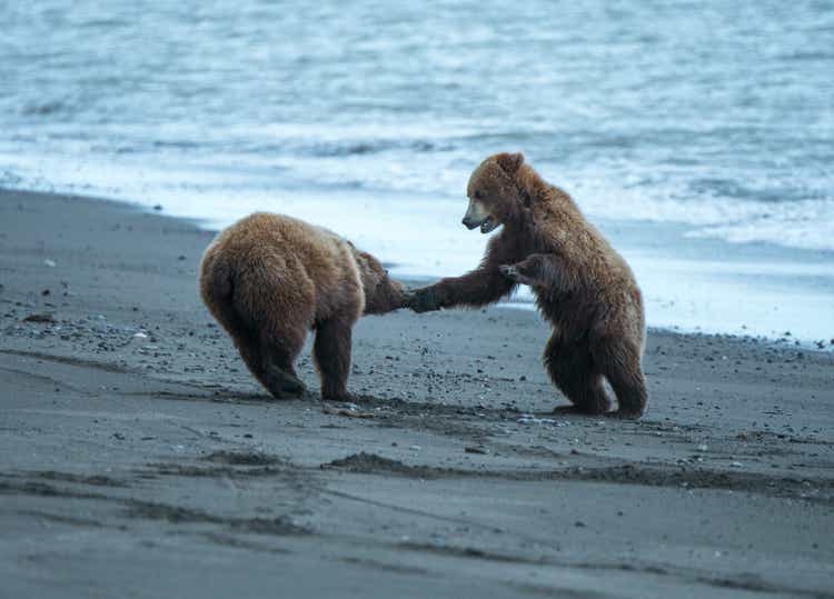 Sibling Cub Smack To The Head