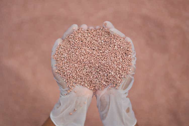 fertilizer in farmer hand. NPK fertilizers are three-component fertilizers providing nitrogen, phosphorus, and potassium