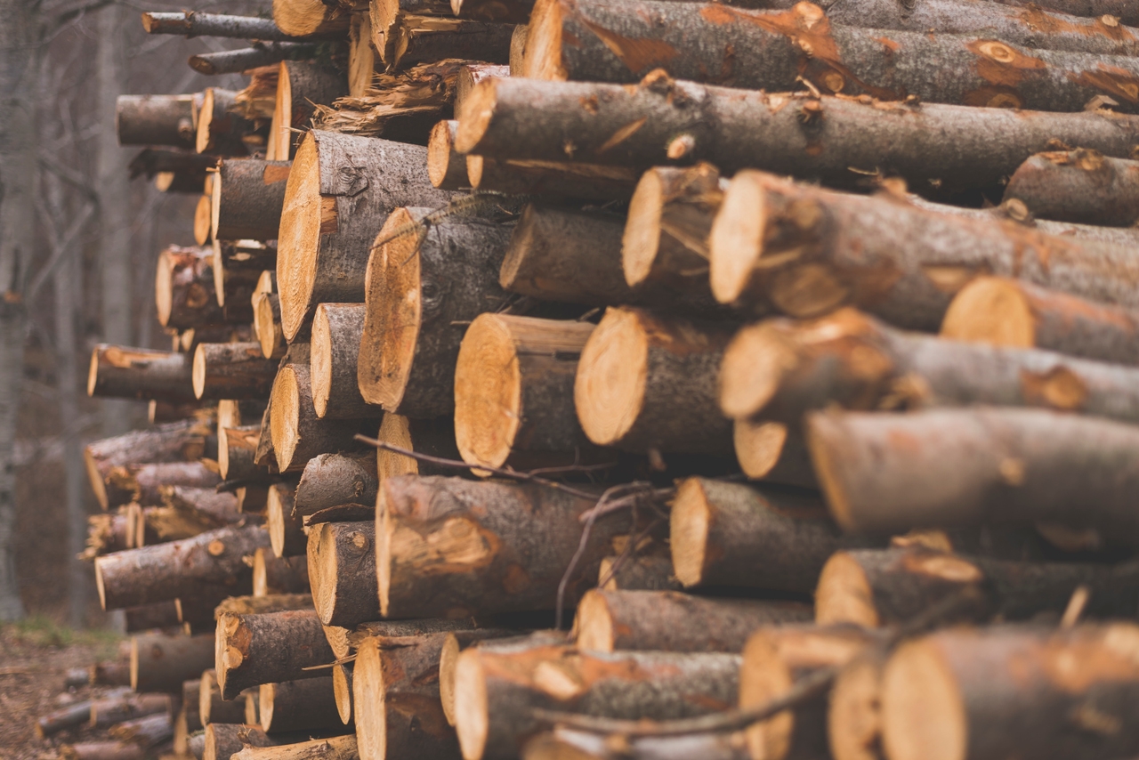 Lumber Futures The Taming Of The Inflation Shrew Seeking Alpha